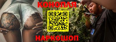 сатива Камышлов